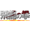 飛龍の拳 (奥義の書)