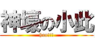 神壕の小此 (hao!!!)