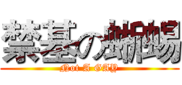 禁基の蜥蜴 (Not A GAY)