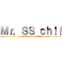 Ｍｒ．ＳＳ ｃｈ！！ (attack on titan)