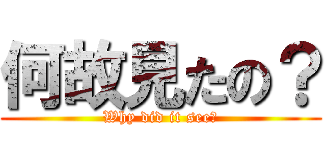 何故見たの？ (Why did it see?)