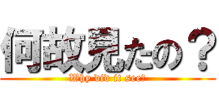 何故見たの？ (Why did it see?)