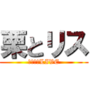 栗とリス (栗とリスLIVE)