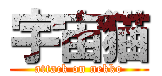 宇宙猫 (attack on nekko)