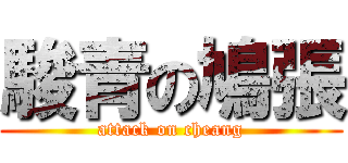 駿青の鳩張 (attack on cheang)