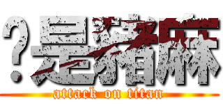 你是豬麻 (attack on titan)