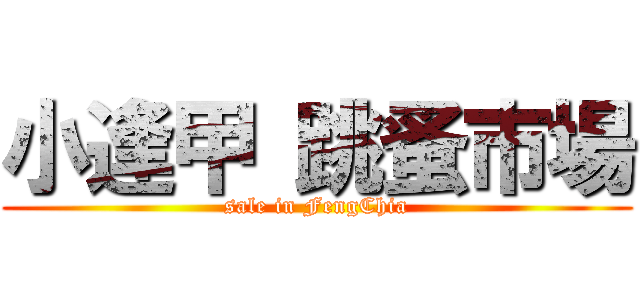 小逢甲 跳蚤市場 (sale in FengChia)