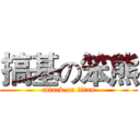 搞基の笨熊 (attack on titan)