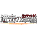 进击の笨貓 (attack on stupid cat)