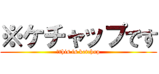 ※ケチャップです (※this is ketchup)