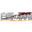 白痴の祺翔 (attack on stupid)