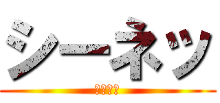 シーネッ (シーネッ)