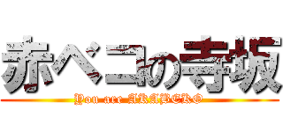 赤ベコの寺坂 (You are AKABEKO)