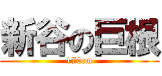 新谷の巨根 (170cm)