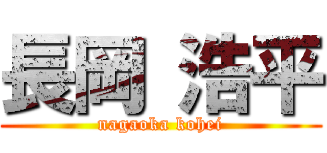 長岡 浩平 (nagaoka kohei)