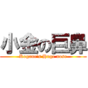 小金の巨鼻 (Kogane's Huge nose)