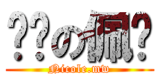 进击の佩仪 (Nicole.mw)