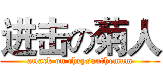 进击の菊人 (attack on chrysanthemum)