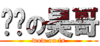 进击の昊哥 (wow on fs)