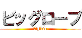 ビッグローブ (biglobe)
