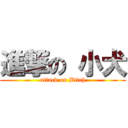 進撃の 小犬 (attack on Bitch)