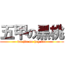 五甲の黑桃 (wu jia no hey tao)