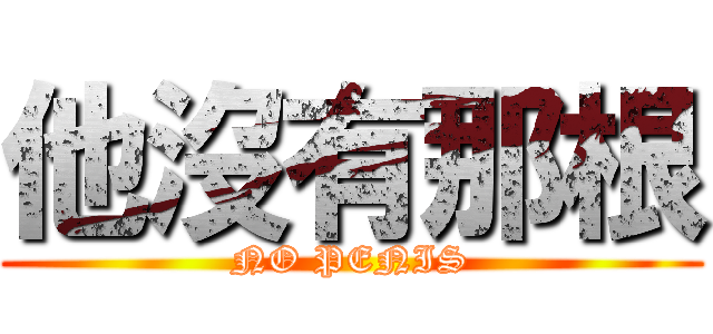 他沒有那根 (NO PENIS)