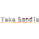 Ｔｅｋａ Ｓａｎｄíａ (attack on titan OC)