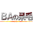 ＢＡの呆毛 (hshs)