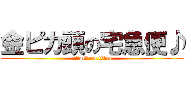 金ピカ頭の宅急便♪ (attack on titan)