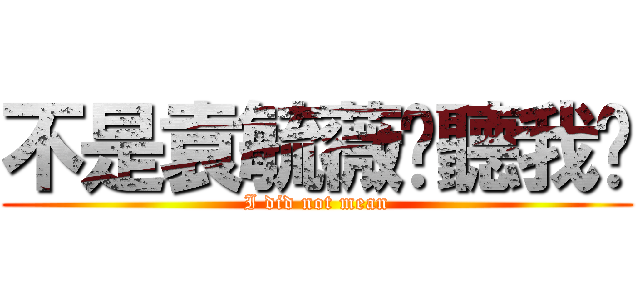 不是袁毓薇你聽我說 (I did not mean)