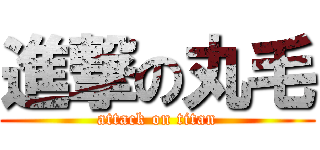 進撃の丸毛 (attack on titan)