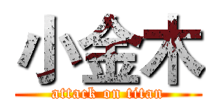 小金木 (attack on titan)