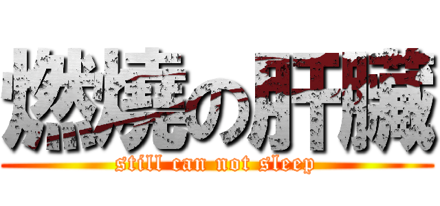燃燒の肝臟 (still can not sleep)