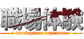 職場体験 (a work place experience)