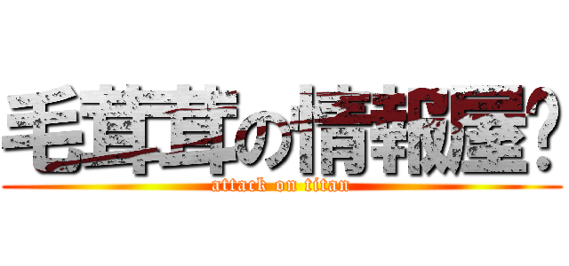 毛茸茸の情報屋♦ (attack on titan)