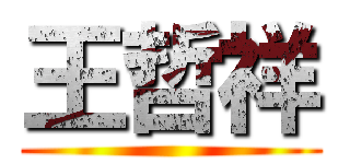 王哲祥 ()