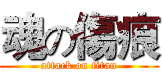 魂の傷痕 (attack on titan)