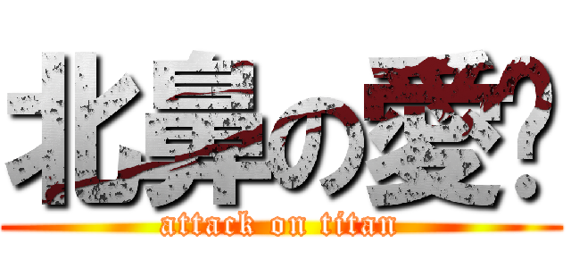 北鼻の愛妳 (attack on titan)