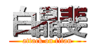 白晶斐 (attack on titan)