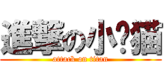 進撃の小贫猫 (attack on titan)