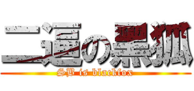 二逼の黑狐 (SB is blackfox)