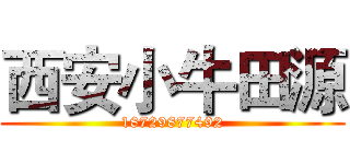 西安小牛田源 (18729877492)