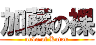 加藤の裸 (nude of Katou)