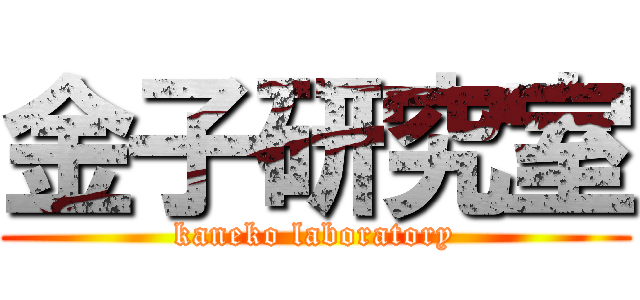 金子研究室 (kaneko laboratory)