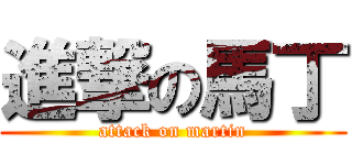 進撃の馬丁 (attack on martin)