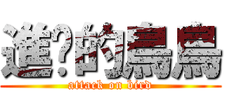 進擊的鳥鳥 (attack on bird)