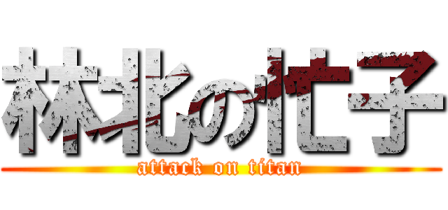 林北の忙子 (attack on titan)