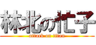 林北の忙子 (attack on titan)