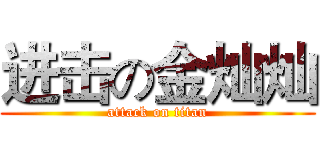 进击の金灿灿 (attack on titan)